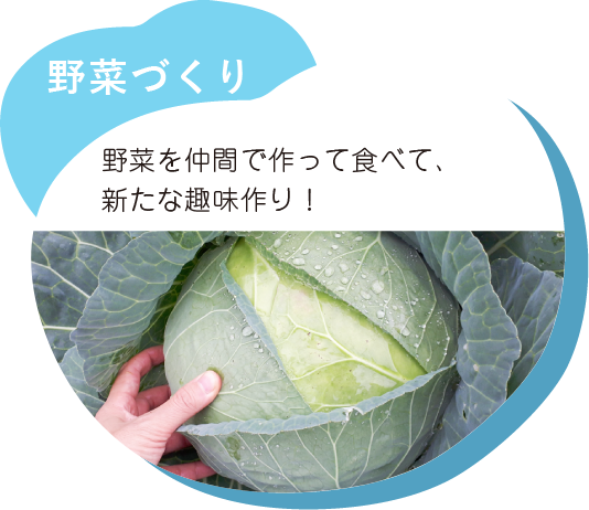 野菜づくり